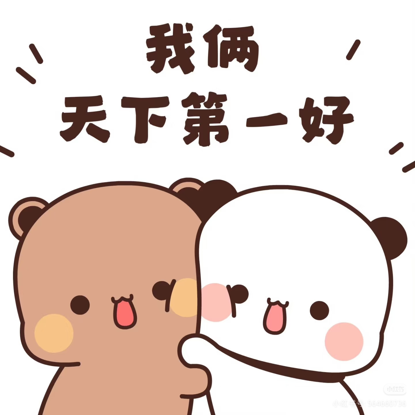 这是一篇测试文章